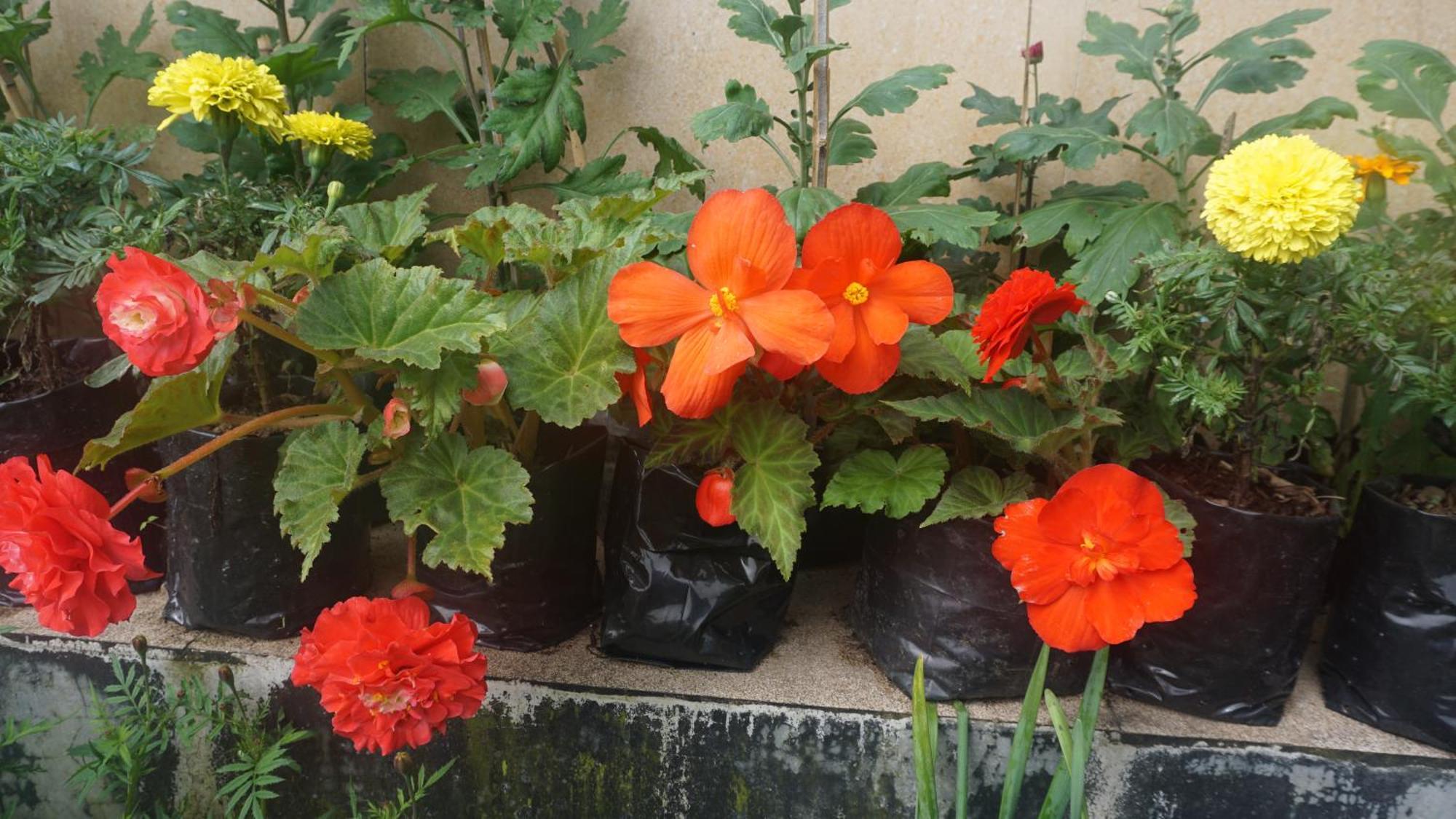 Tranquil Retreat Homestay Ghum Luaran gambar