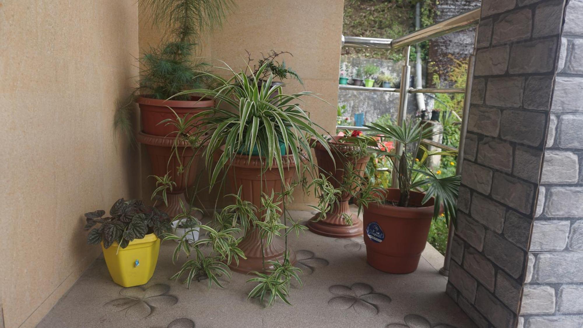 Tranquil Retreat Homestay Ghum Luaran gambar