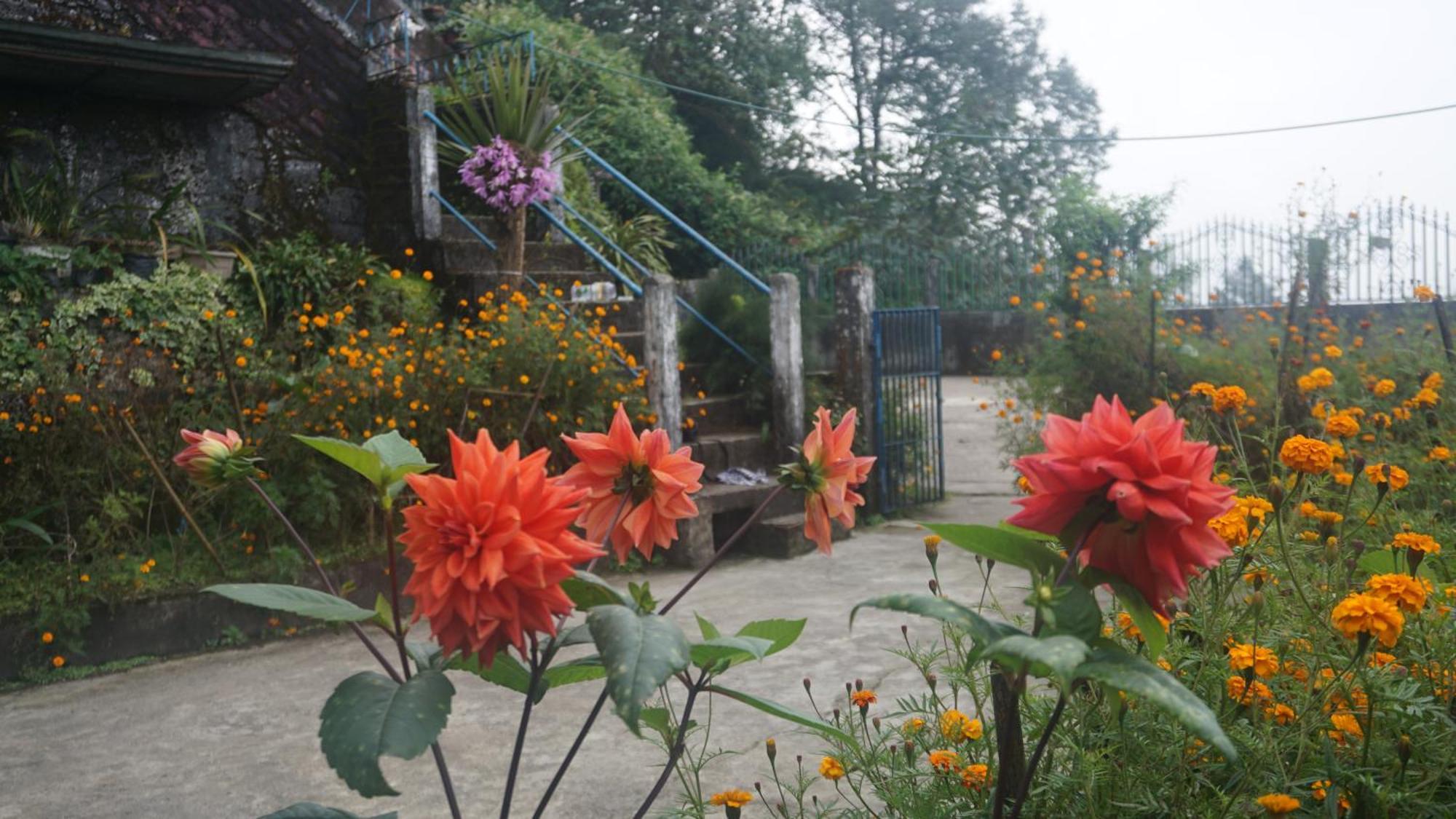 Tranquil Retreat Homestay Ghum Luaran gambar